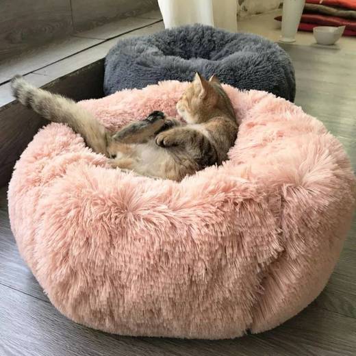 Cama para animales