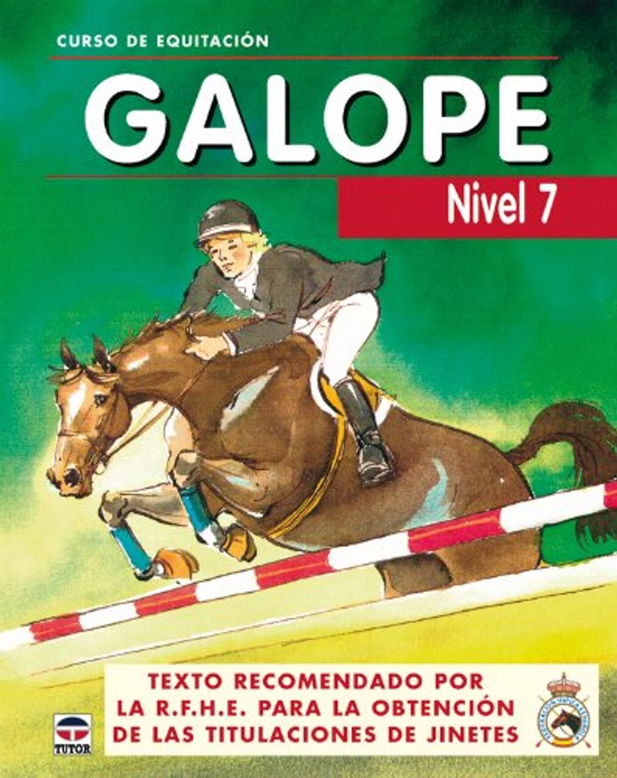 Libros CURSO DE EQUITACION GALOPE. NIVEL 7