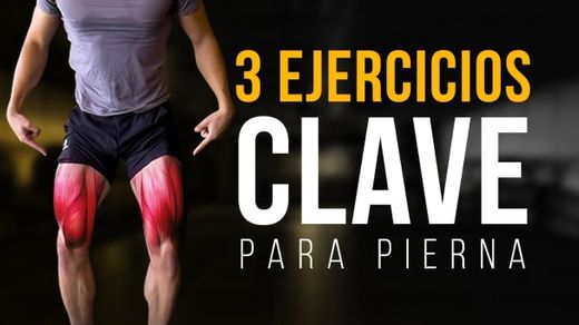 ¡LOS 3 MEJORES EJERCICIOS PARA PIERNA! - YouTube