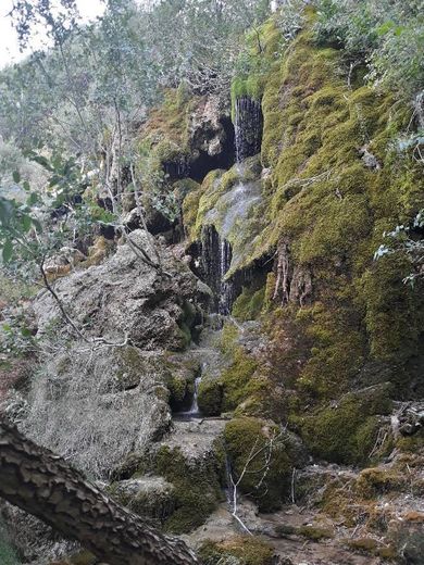 Monumento Natural del Nacimiento del Río Cuervo