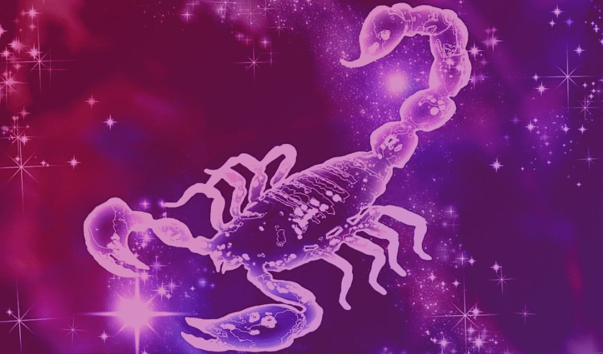 Social Oitavo signo do zodíaco 