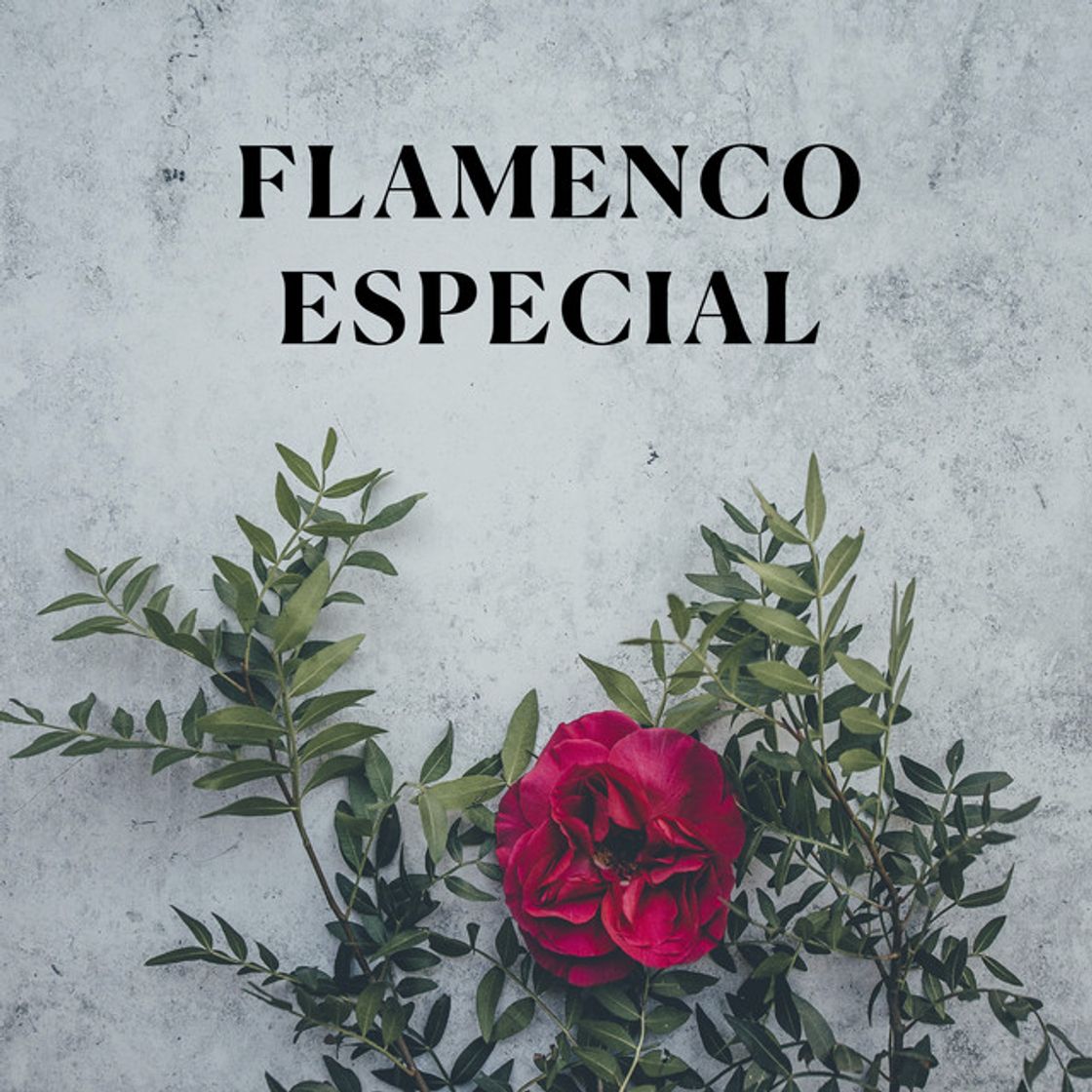 Canción Rosa Maria - Tangos