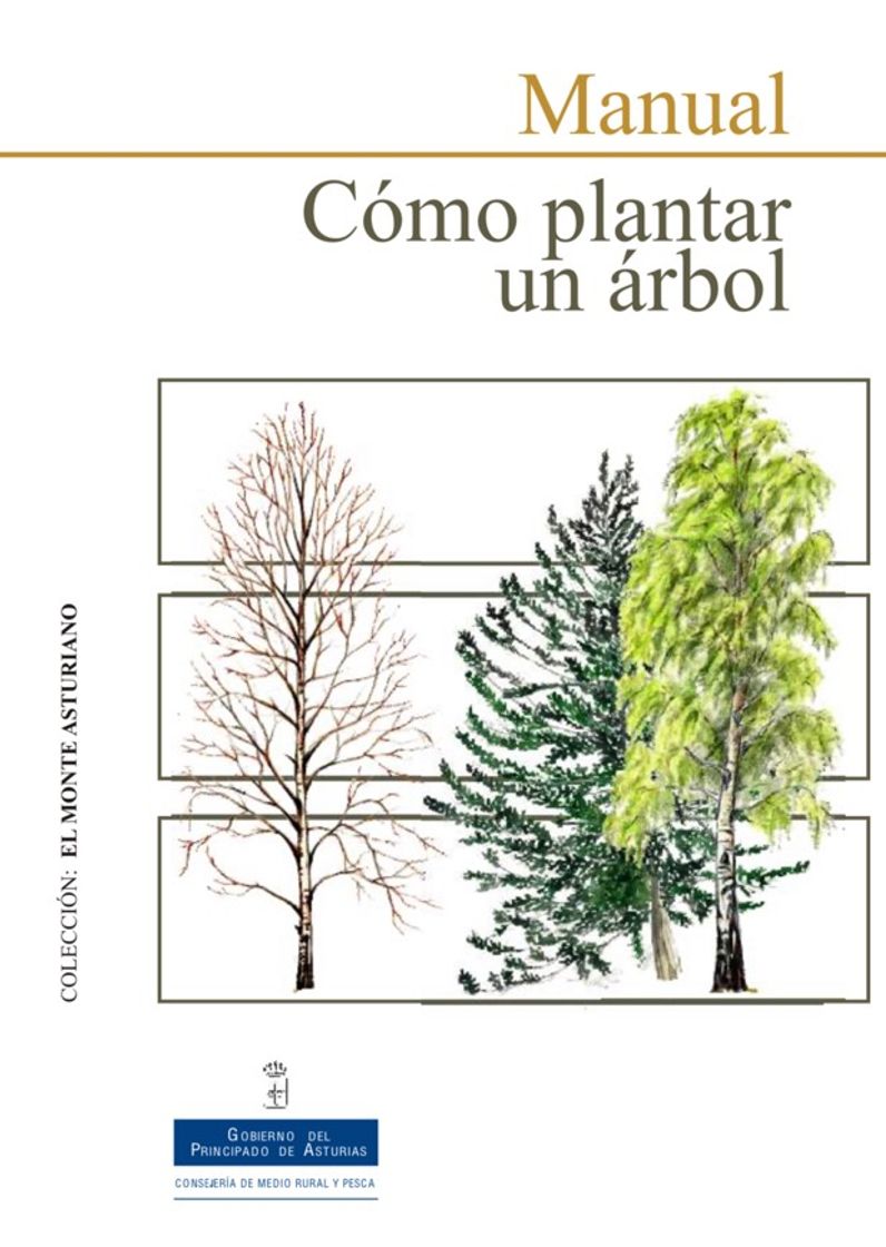 Moda Como plantar un árbol