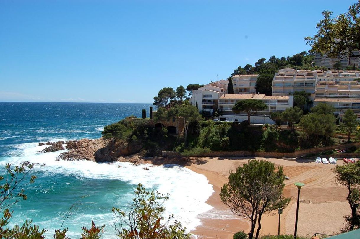 Place Cala Salions