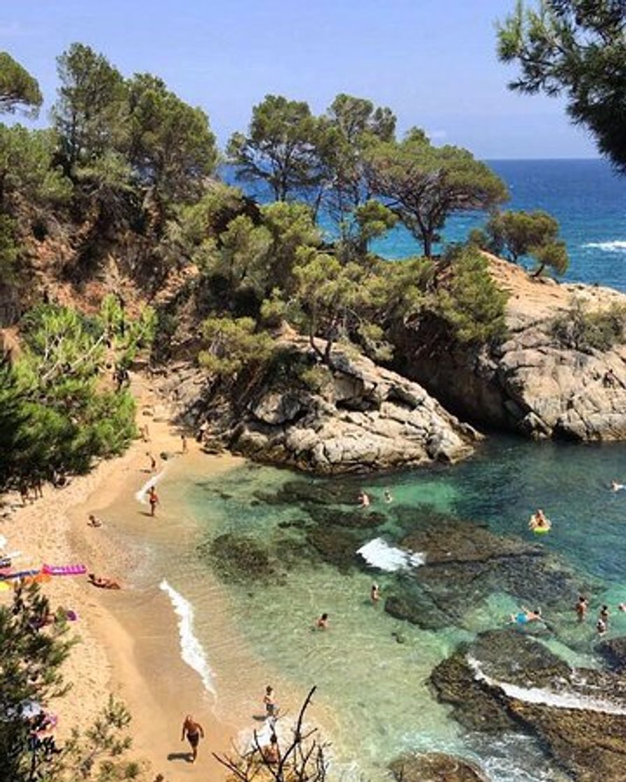 Place Cala Sa Cova