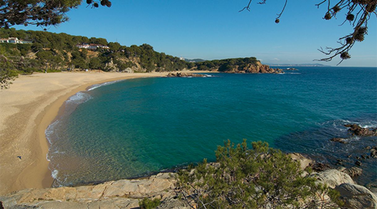 Lugar Platja Sa Conca