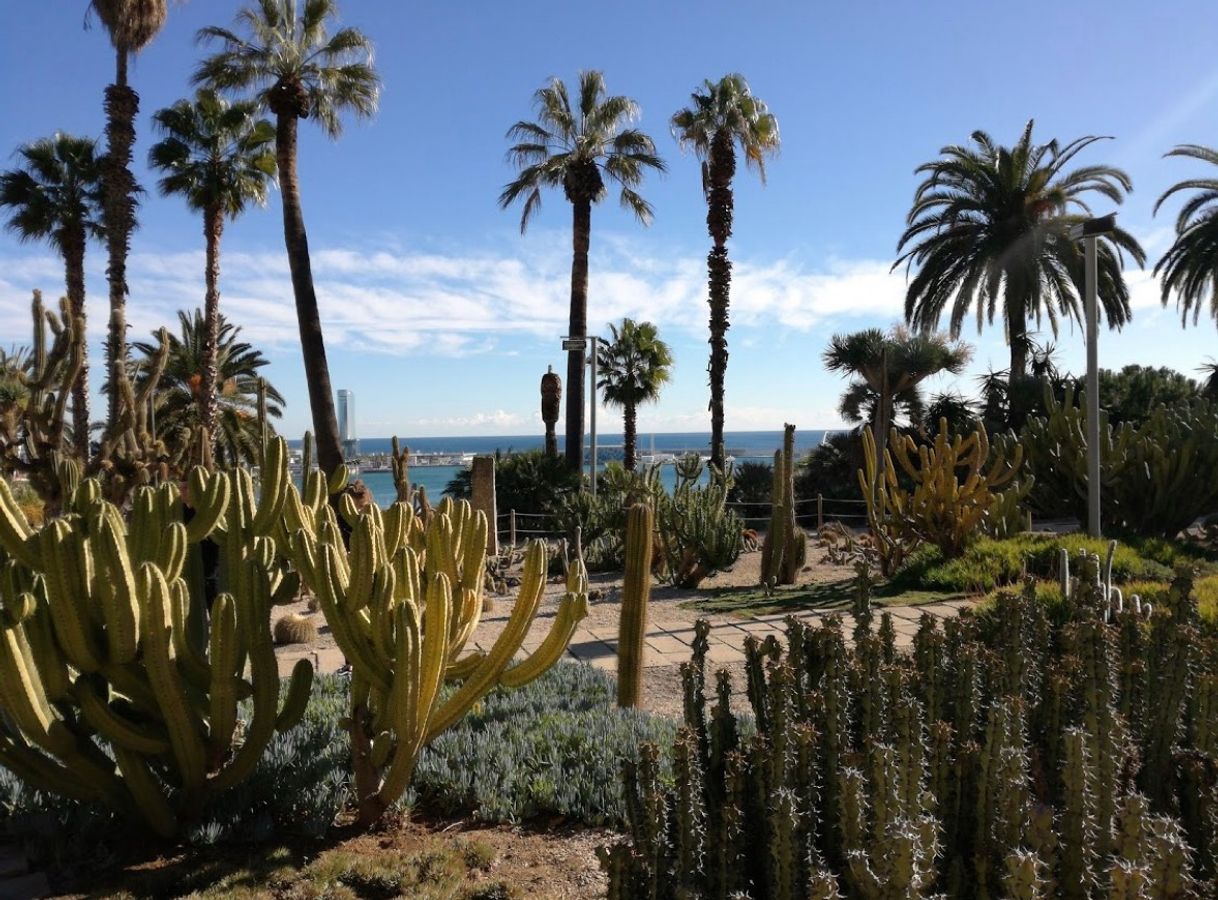 Moda Jardins de Mossèn Costa i Llobera