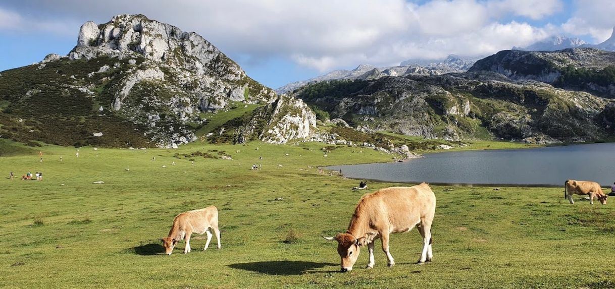 Places Lagos de Covadonga