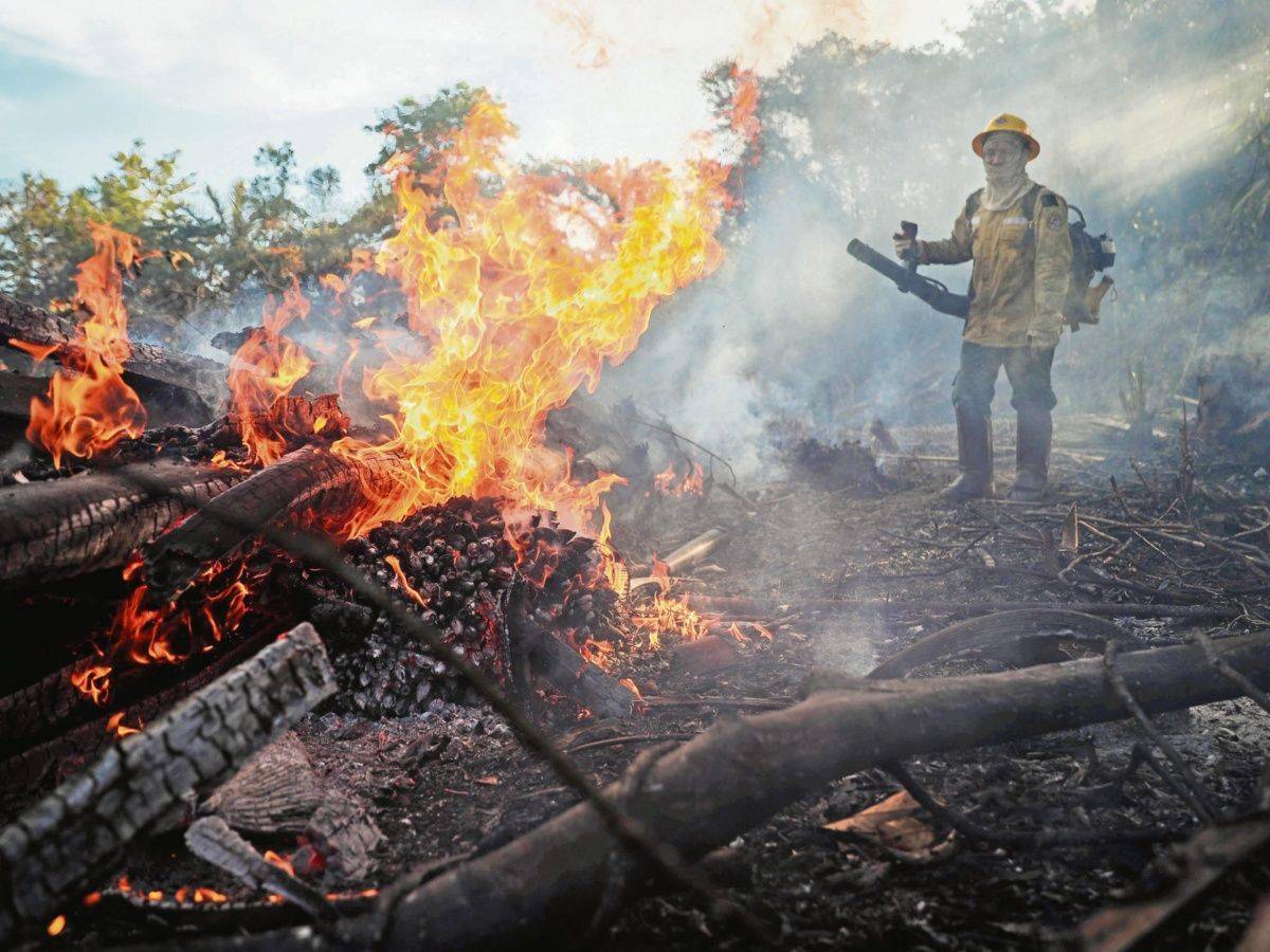 Canción Rap Y para alludar las amazonas en peligro (musica)