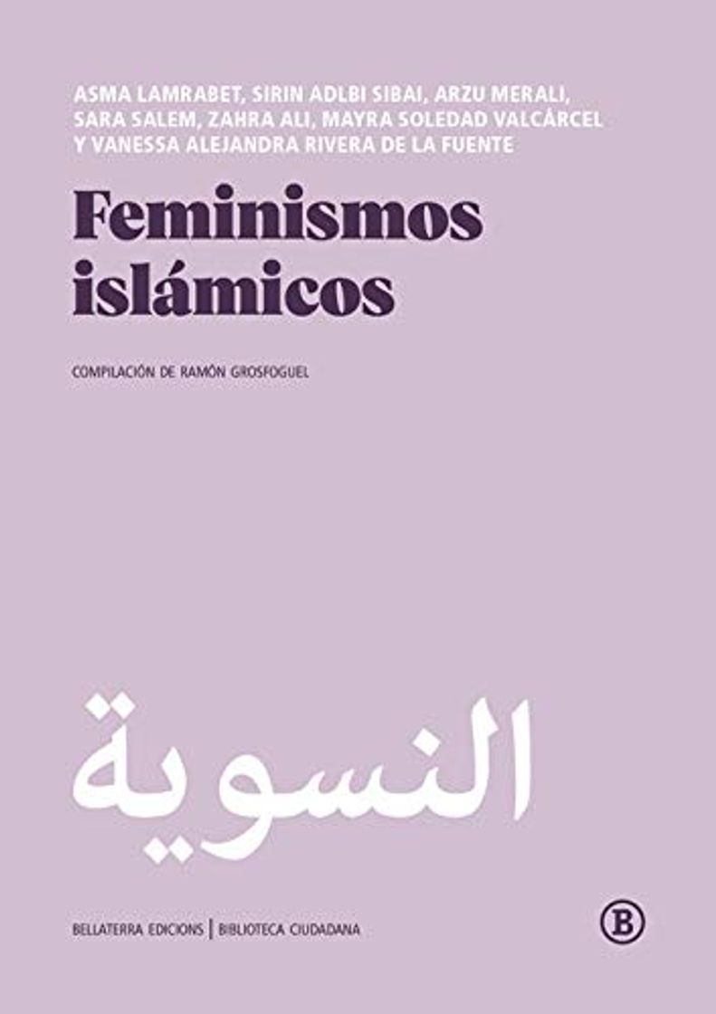 Book Feminismos islámicos