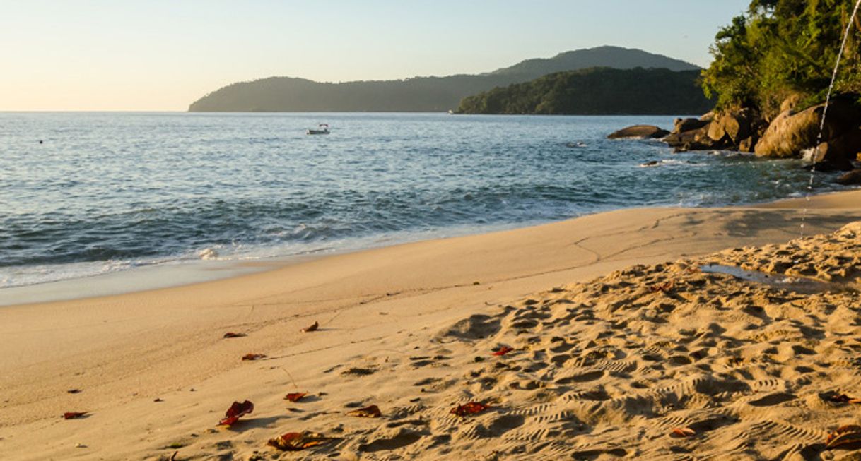 Places Praia Brava das Palmas – Ilha Grande