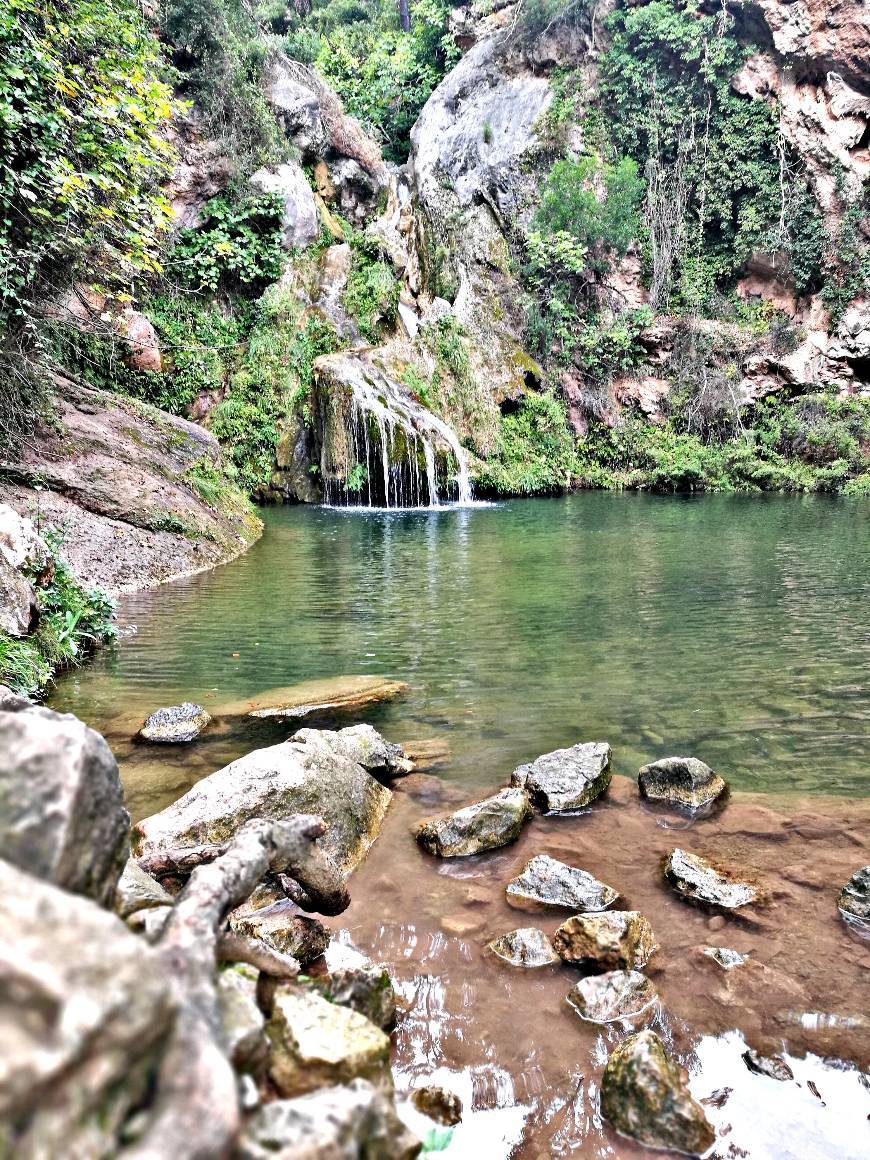 Lugar Niu de l'Àliga