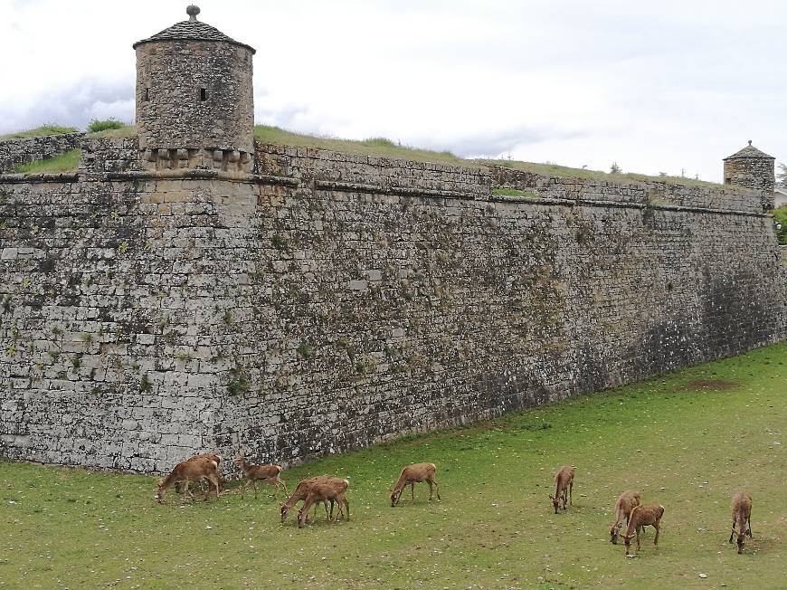 Lugar Ciudadela de Jaca