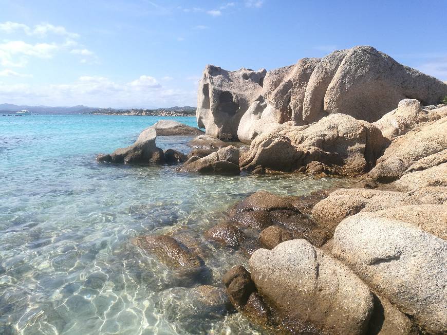 Lugar Spiaggia Testa del Polpo