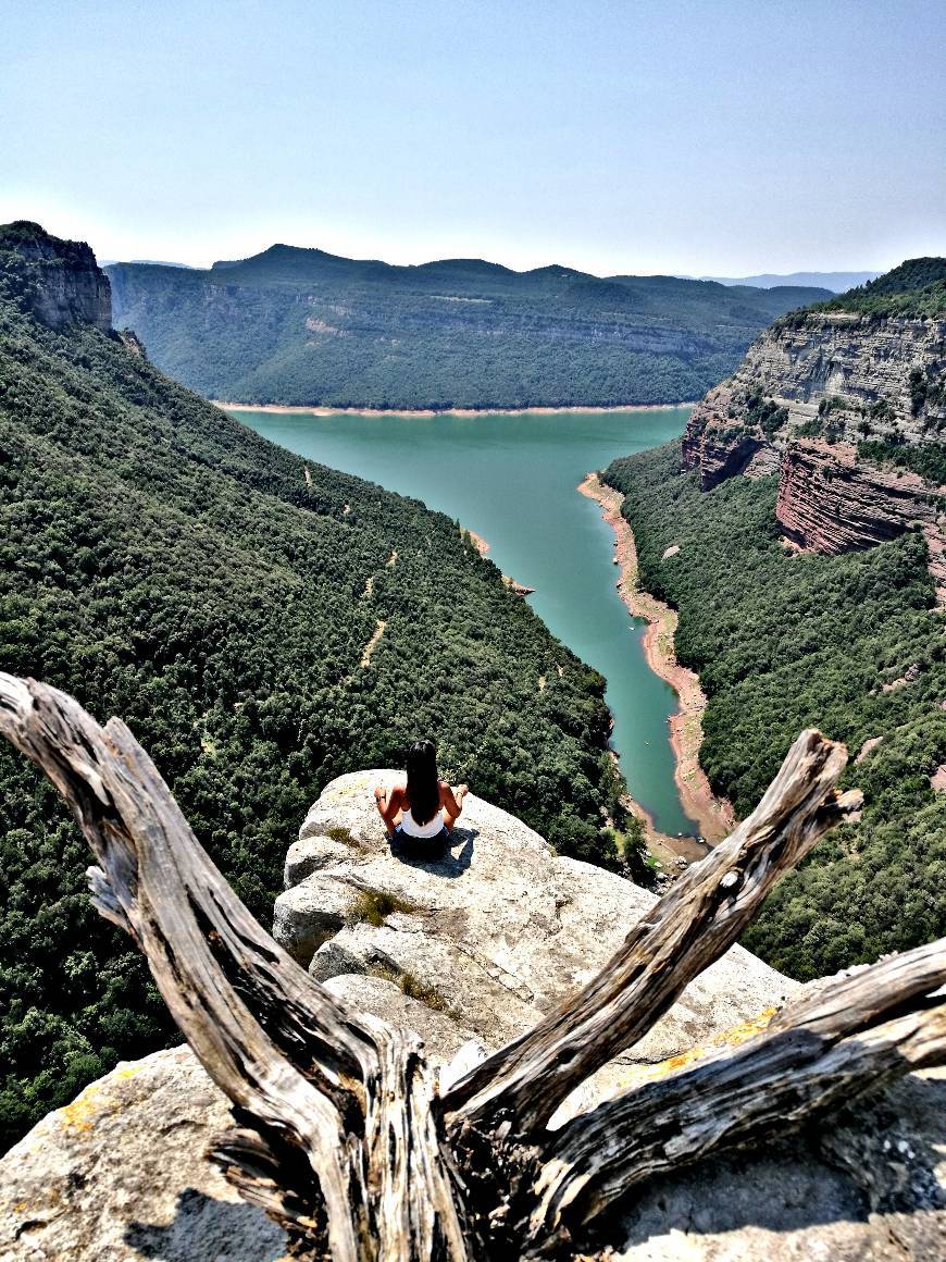 Place Morro de l'abella - Cingle Penya-segat