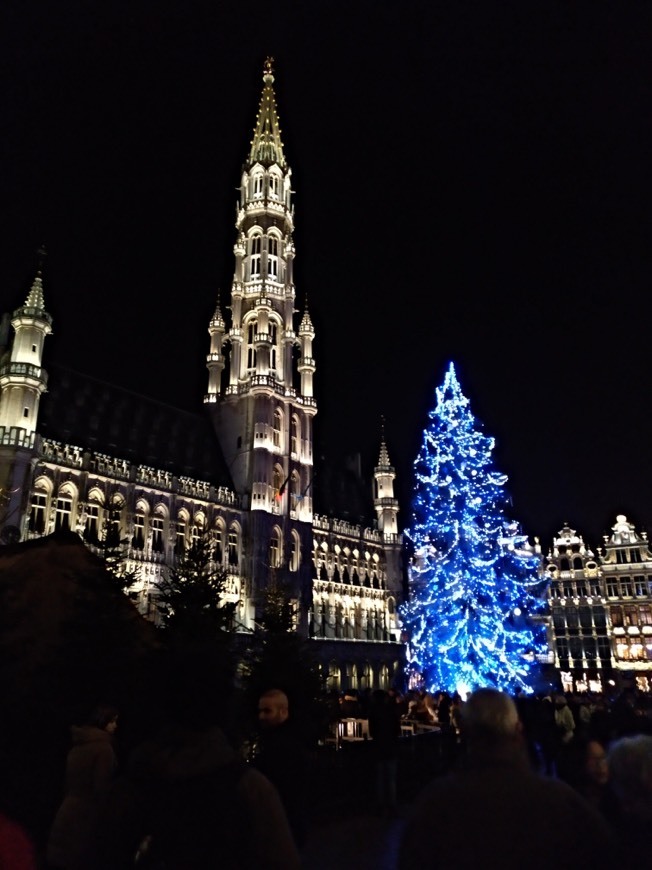 Place Bruselas