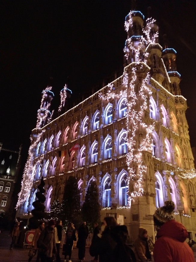 Place Leuven