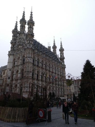 Historical Leuven Town hall