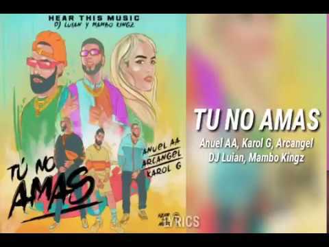 Canción Tú No Amas