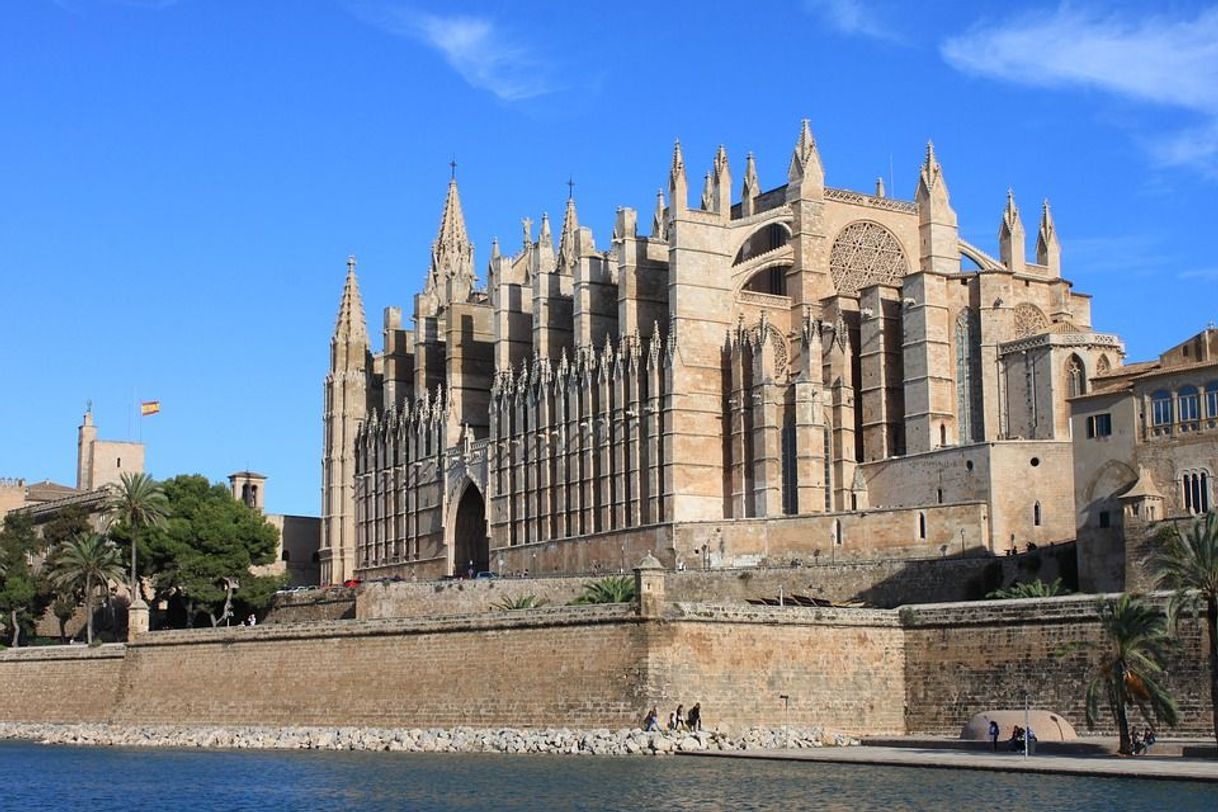 Lugar Catedral-Basílica de Santa María de Mallorca