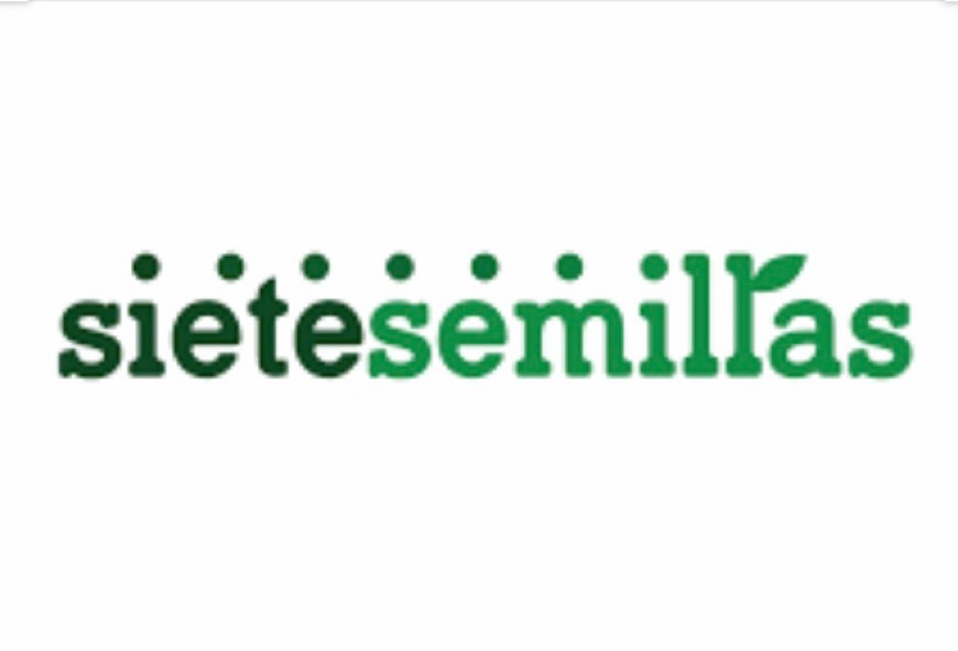 Restaurantes Restaurante Siete Semillas Comida Ecologica y Vegana