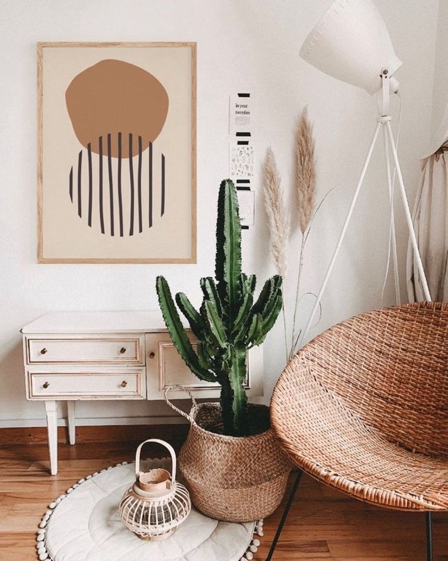 Fashion Decoração com plantas 