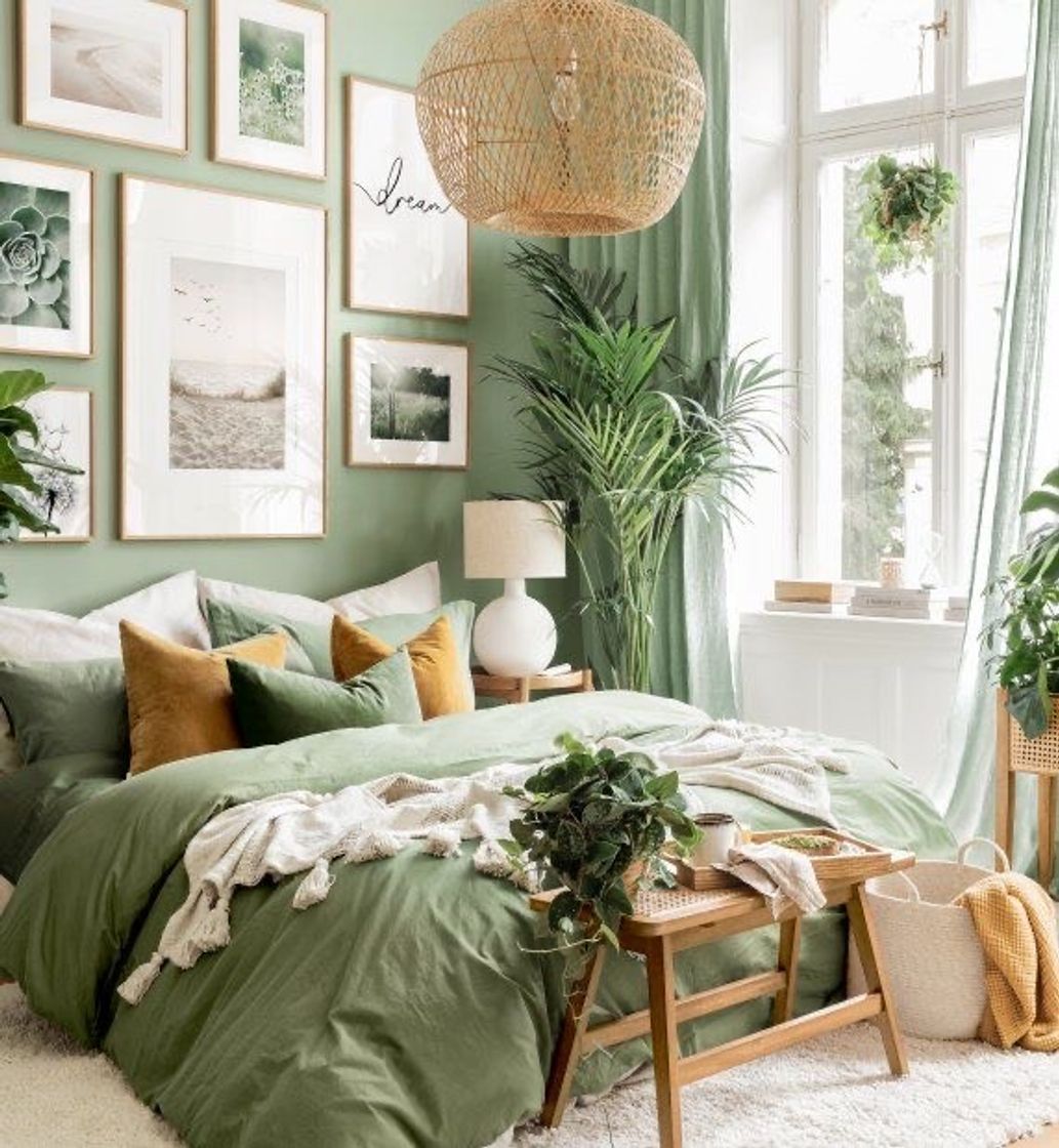 Fashion Quarto com plantas