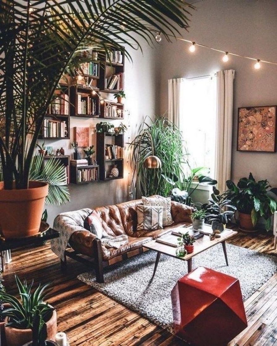 Fashion Living room 🌿