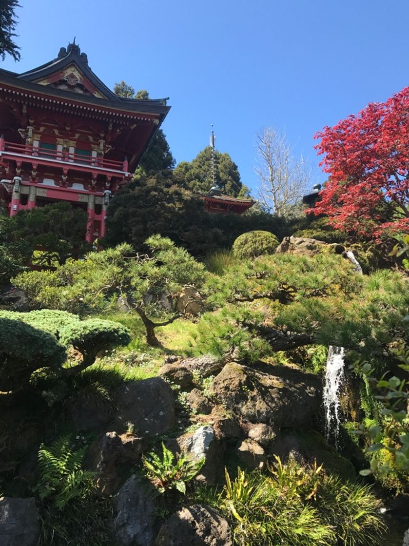 Lugar Japanese Tea Garden