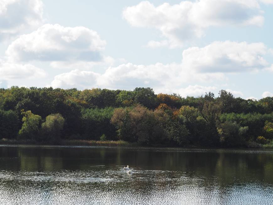 Places Jezioro Rusałka