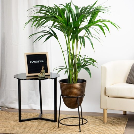 Plantas con encanto, espacios con estilo ⋆ Be.Green