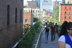 Place The High Line