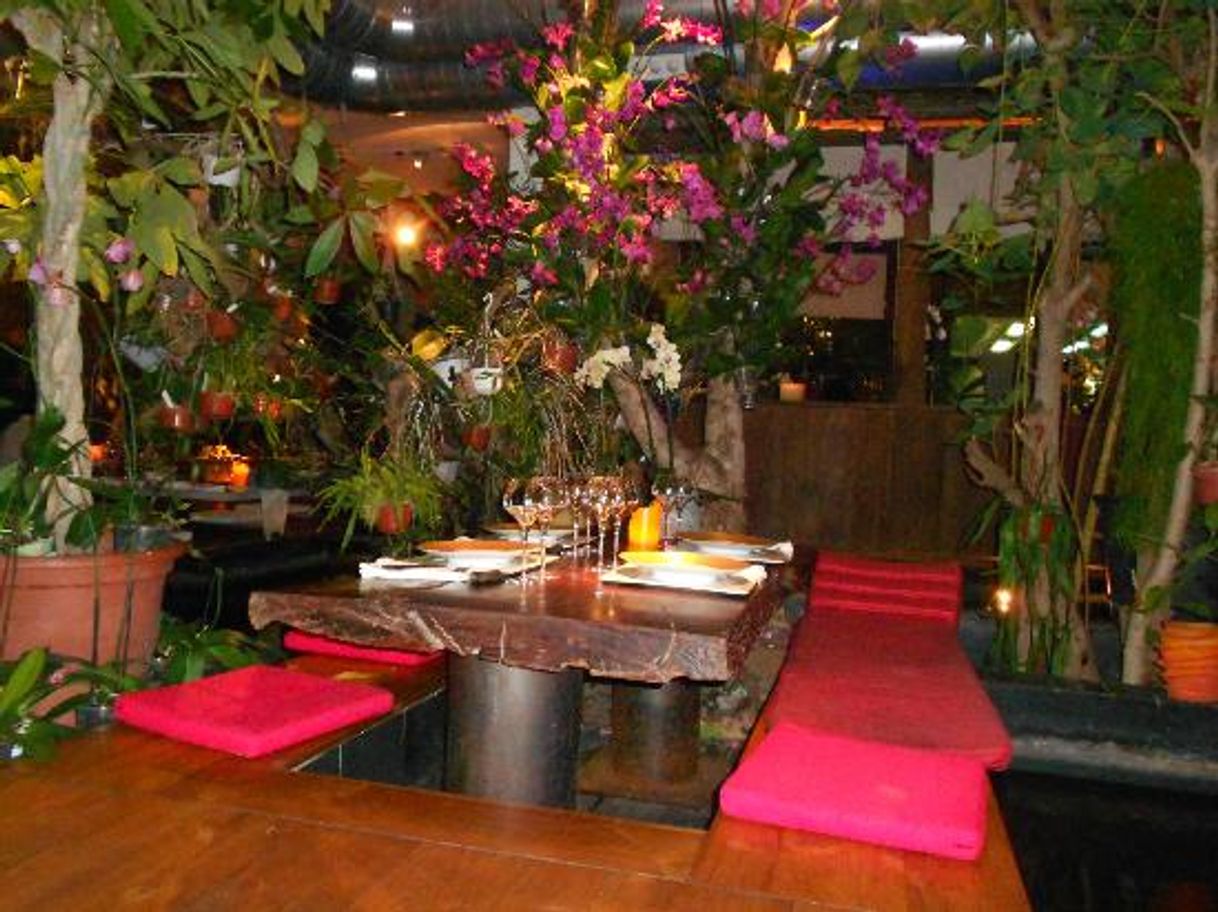 Restaurants Indochine Ly Leap Restaurant