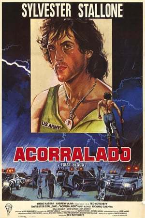 Película Acorralado