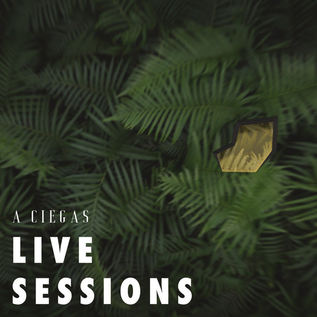 Canción A Ciegas (Live Sessions)