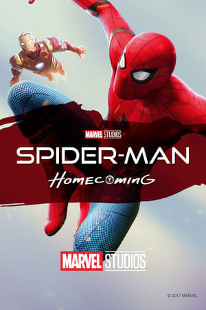 Movie Spider-Man: Homecoming