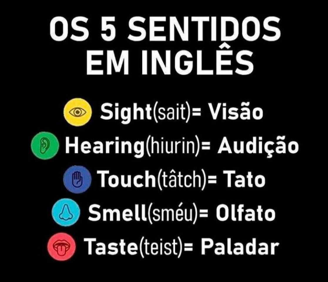 Moda Os 5 sentidos em inglês