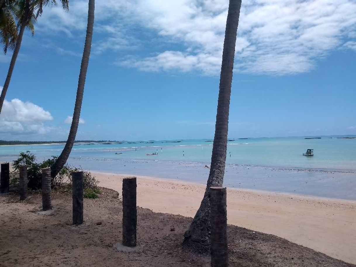 Place Hibiscus Beach Club | Maceió