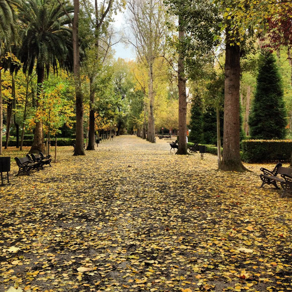 Place Parque Isabel La Católica