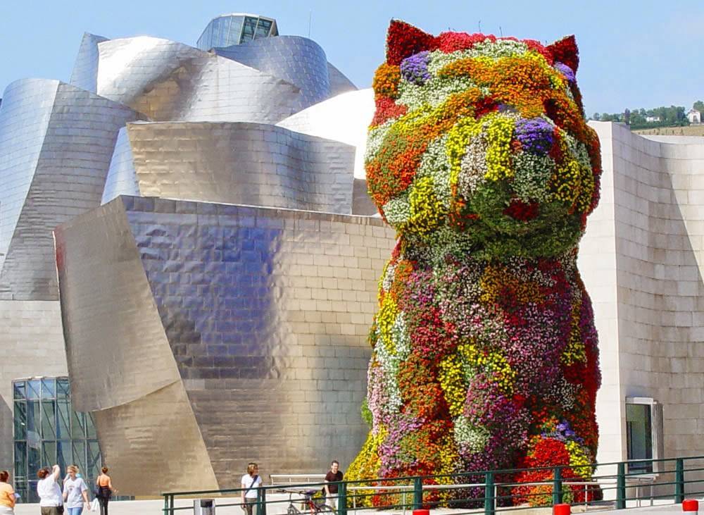 Place Puppy