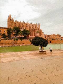 Lugar Catedral-Basílica de Santa María de Mallorca