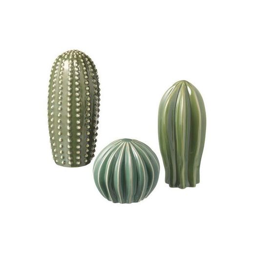 Adorno cactus