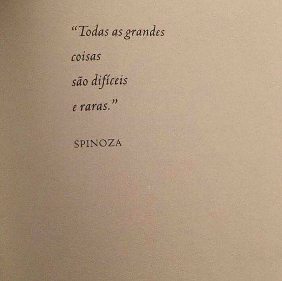 Fashion -SPINOZA