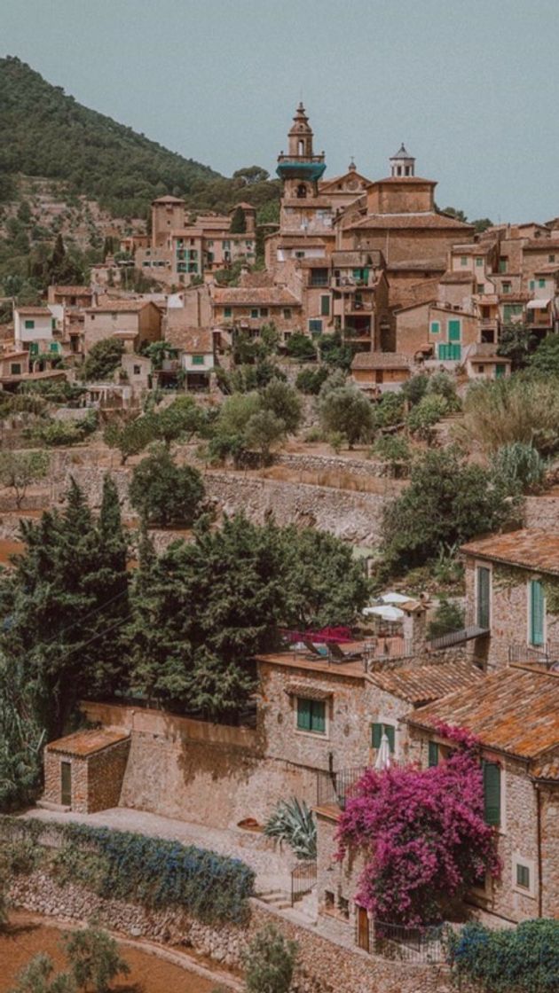 Lugar Valldemosa