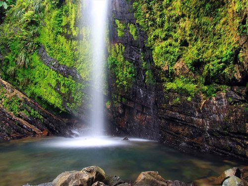 Lugar El Yunque National Forest