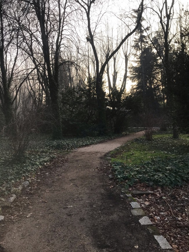Place Campo del Moro