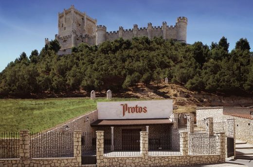 Bodegas Protos