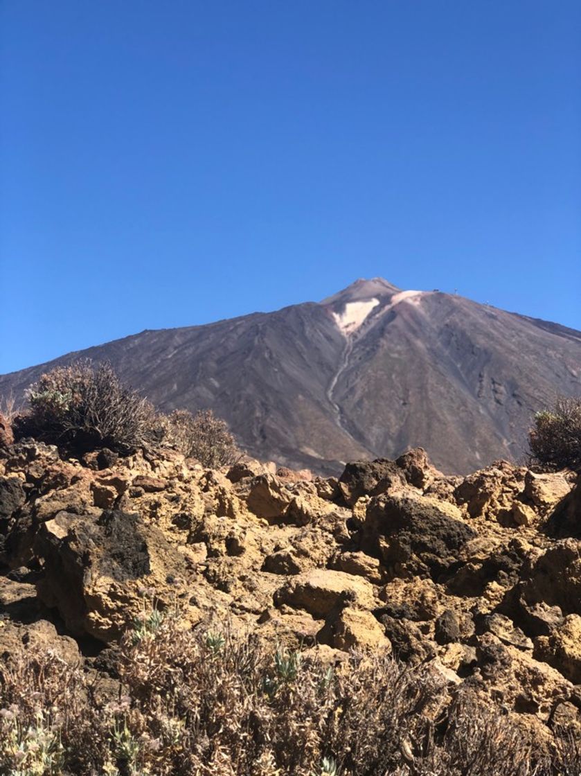 Place Teide