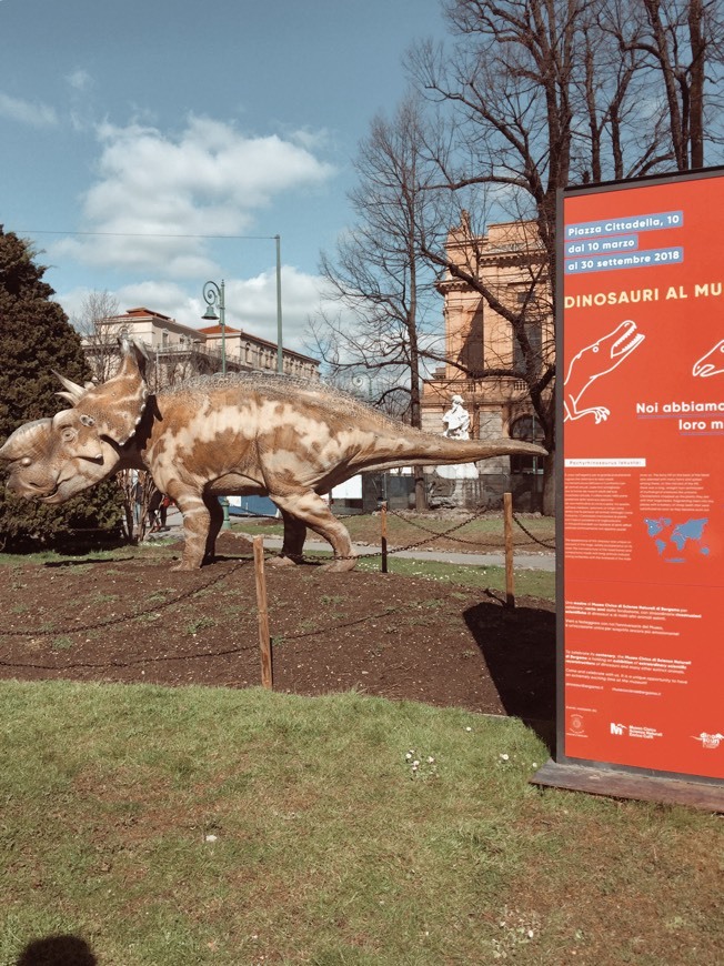Dinosauro Citta Alta