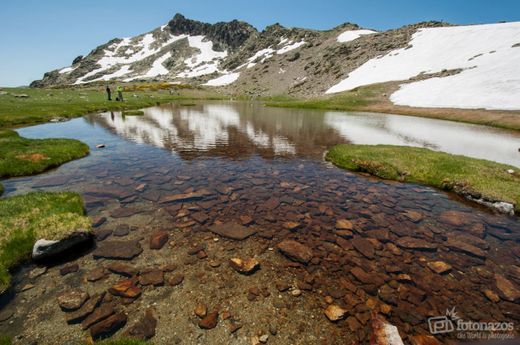 Laguna de los Pájaros